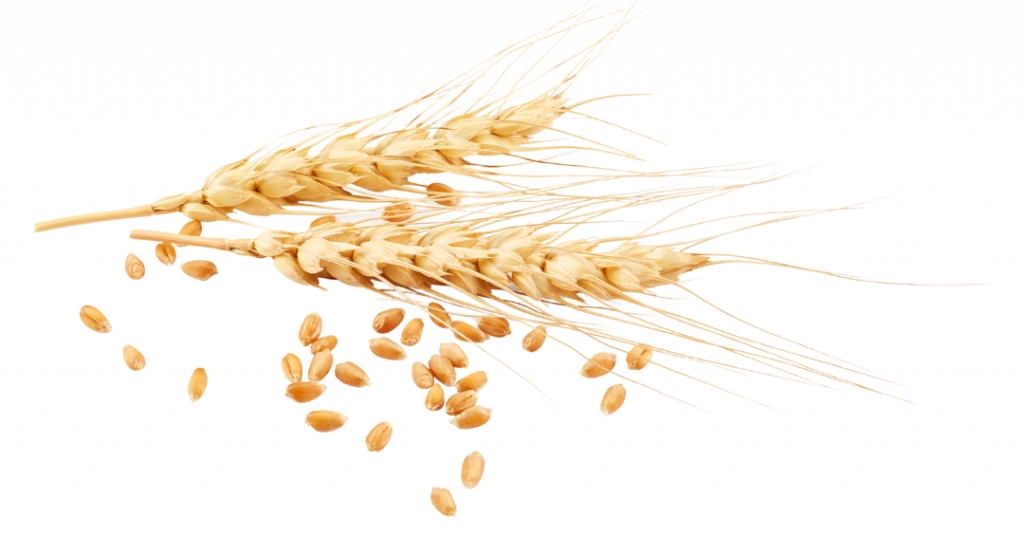 Activ Nutrition, Australia
