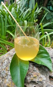 Wheat Straws - Image 2
