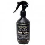 Bathroom Cleaner