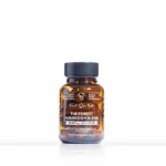 Forest Mushroom Blend 30 capsule mini jar with Lion’s Mane, Reishi, Chaga, Turkey Tail and Cordyceps